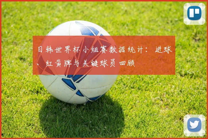 日韩世界杯小组赛数据统计：进球、红黄牌与关键球员回顾